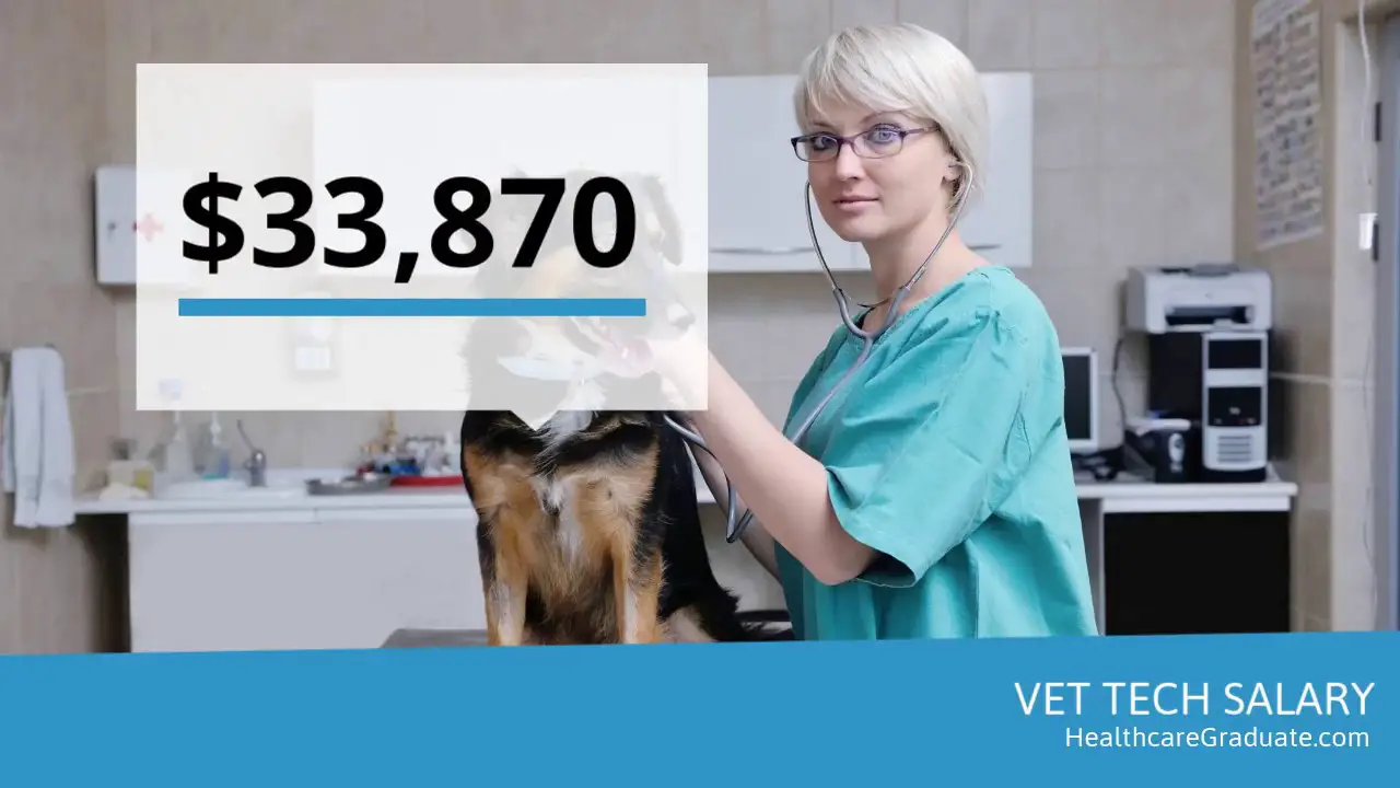 How Much Money Do Vets Make In A Year at Jody Walker blog