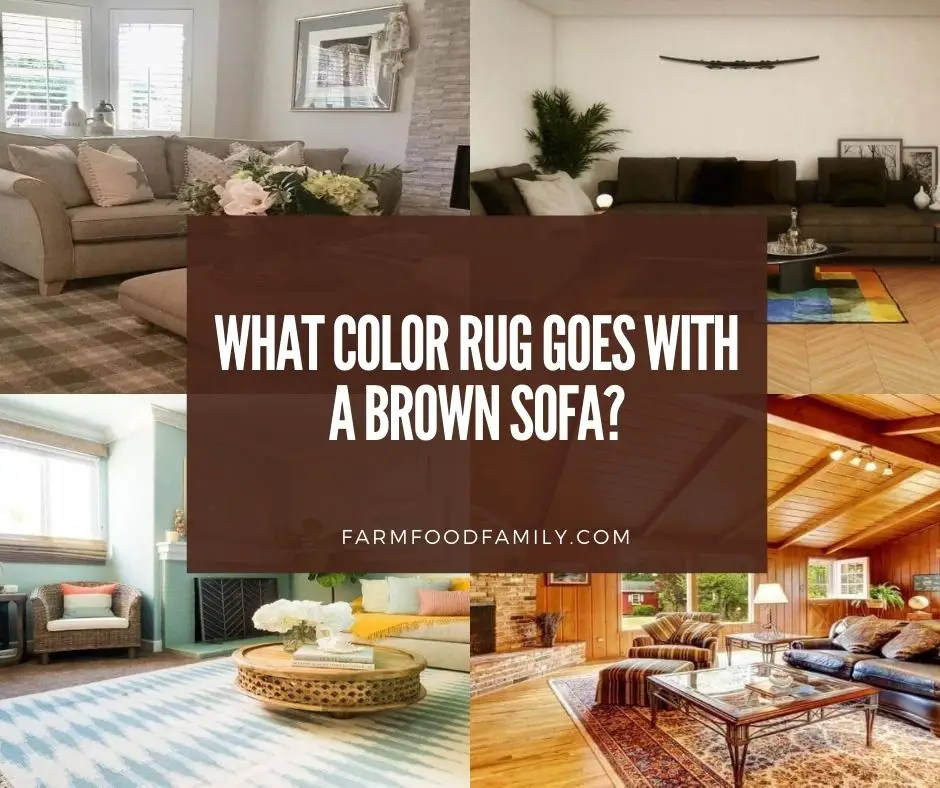 What Color Area Rug With Brown Couch