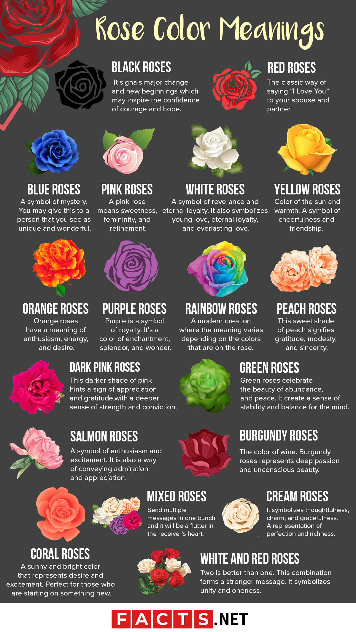 What Do Different Color Roses Mean